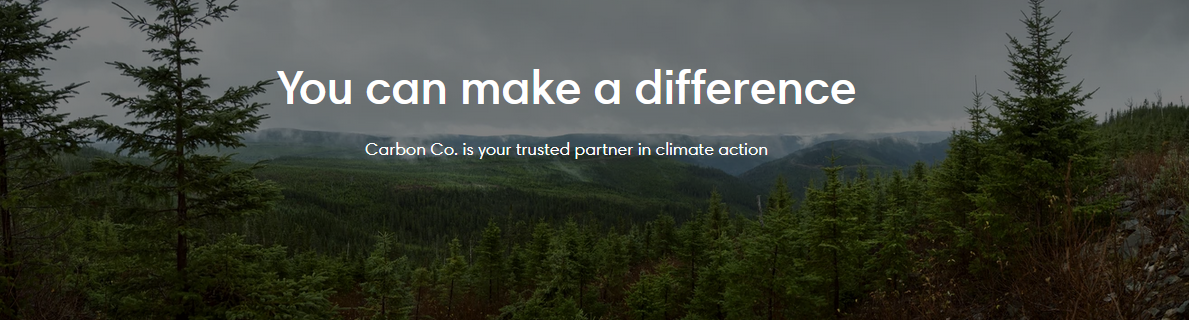 Thanks to a recommended place, learn all about carbon offset australia