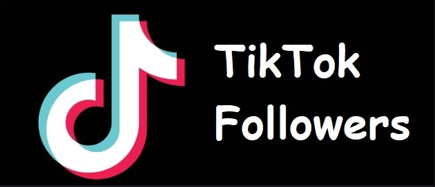 Here is an important guide about gaining followers on TikTok